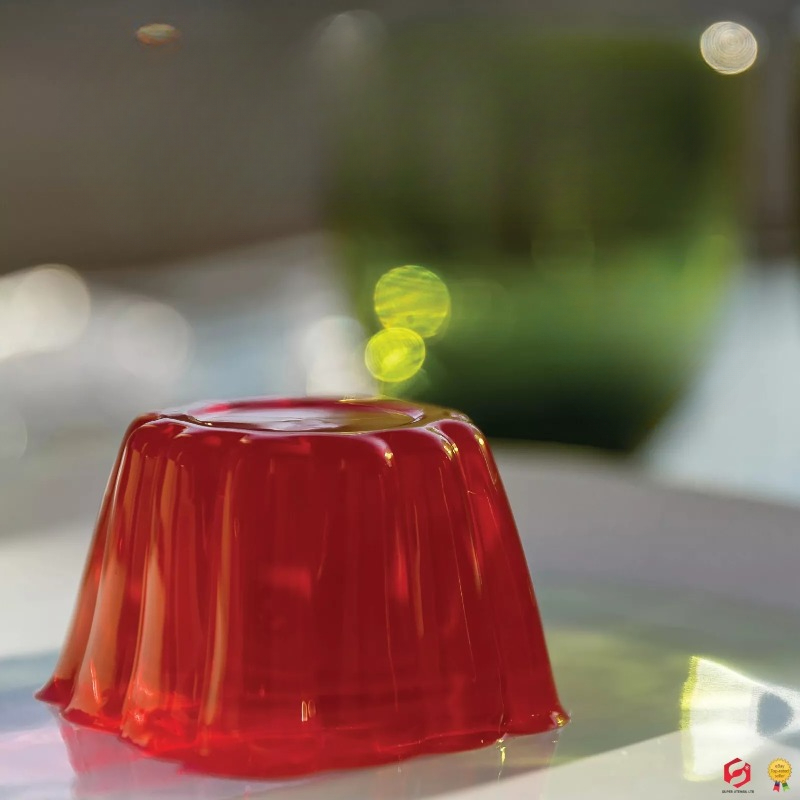 Pudding Cake Mold with Lid DIY - Baby Food Bites recension och pris